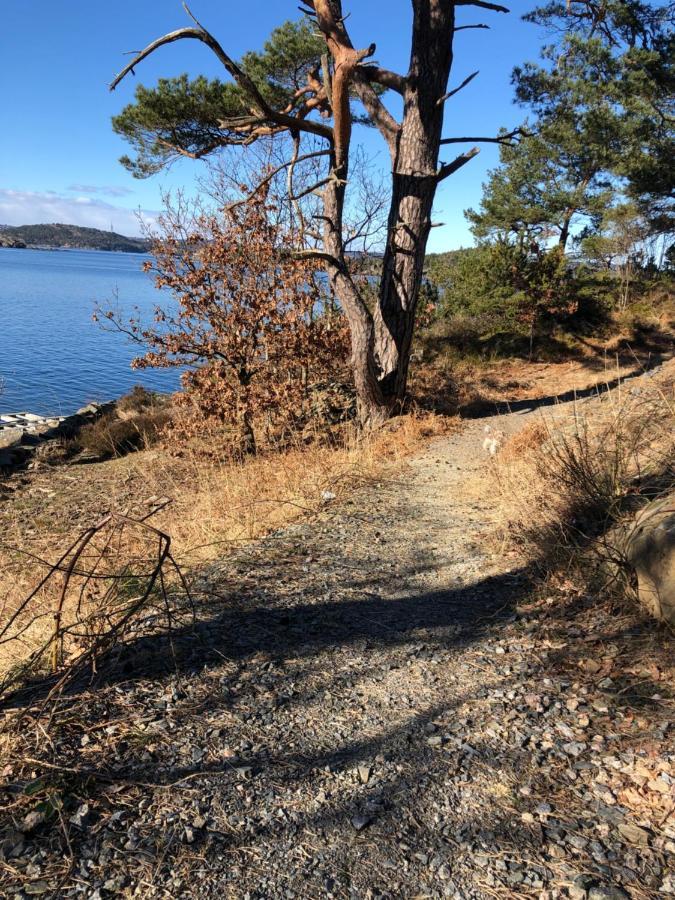 Sjonaer Idyll Apartamento Kristiansand Exterior foto